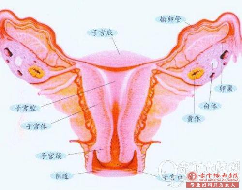 马鞍山妇科检查好的医院是哪家