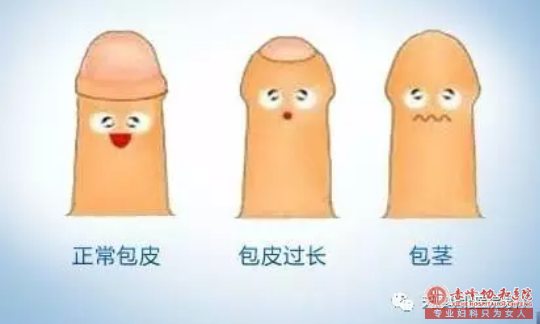 马鞍山男人一生的“性符”——包皮过长会引起什么疾病？
