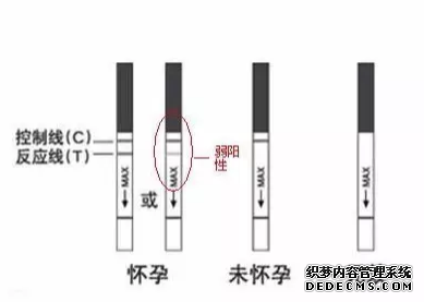 马鞍山当涂县早孕检测有哪些方法?